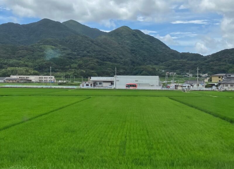 社休日のお知らせ